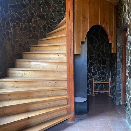 伊凡娜弗兰卡街度假屋 Verkhnyaya Rozhanka 外观 照片
